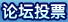 论坛投票